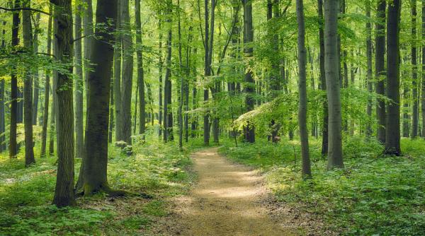 Agitație mare în Italia, unde un bărbat gol pușcă se plimbă pe trasee turistice. Poliția îl caută intens