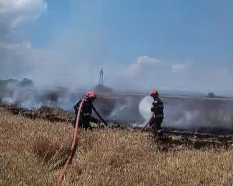 Incendiu de proporții într-un lan de grâu lângă DN1, după ce o mașină a luat foc. Traficul, afectat