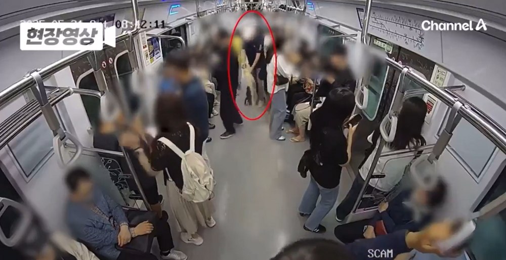 Momentul în care un bărbat a incendiat un metrou plin cu pasageri, în Seul