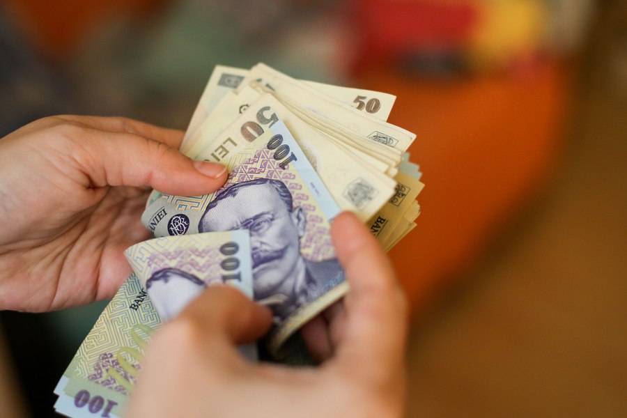 Ordonanța austerității, retrasă de pe ordinea de zi a CES