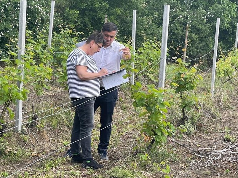Cercetător viticol dr. ing. Sergiu Ștefan Gorjan: „Soiul de struguri de masă Victoria, obținut la Drăgășani a devenit numărul unu în multe țări viticole de pe glob”