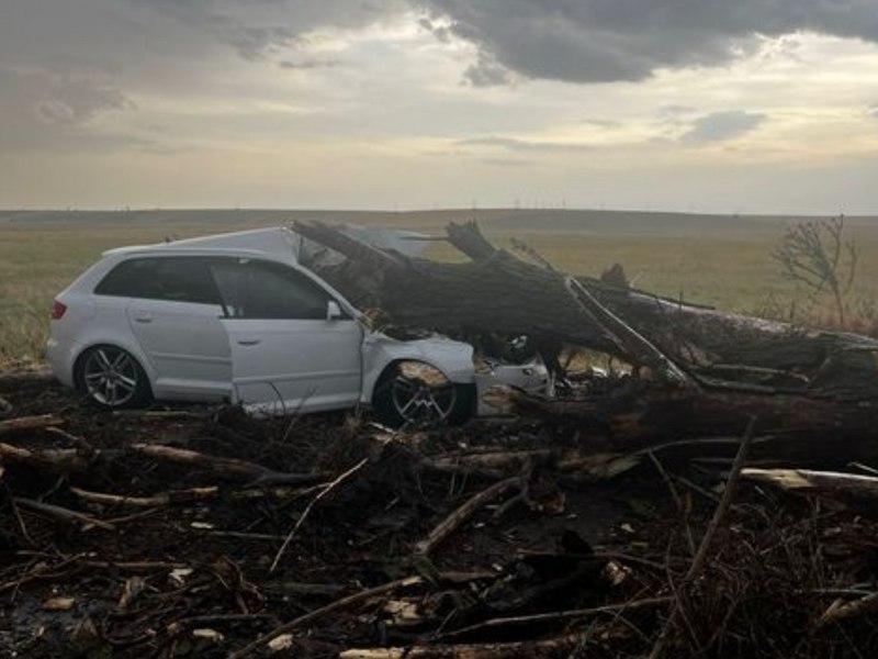 Patru persoane, printre care doi copii, internate după ce un copac a căzut peste autoturismul în care se aflau