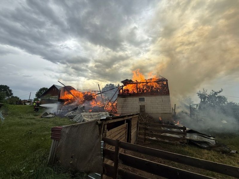 O magazie din lemn a luat foc după ce a fost lovită de trăsnet. Au fost salvați patru porci şi un căţel