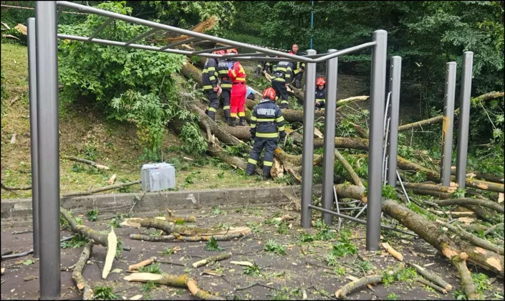Un tânăr de 27 de ani a murit după ce un copac a căzut peste el, în Braşov, pe „Aleea de sub Tâmpa”
