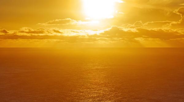 Marea Mediterană a atins o temperatură record pentru luna iunie. Viața marină e în pericol