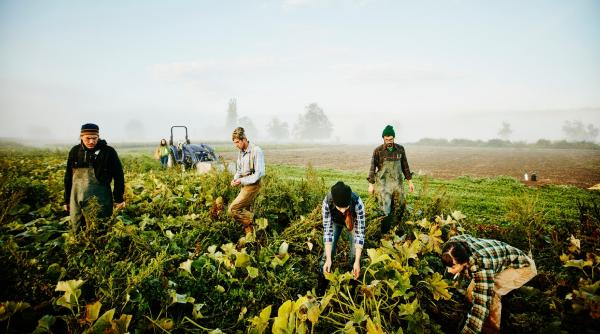 Șase muncitori români, abandonați într-o benzinărie din Austria. Șoferul le-a furat 15.000 de euro, actele și bagajele