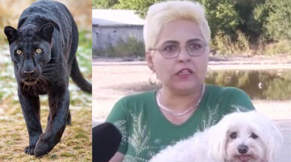Oamenii din Giurgiu, terorizați de pantera din Bulgaria. O femeie spune că a dat nas în nas cu animalul: „Am crezut că e Satana”