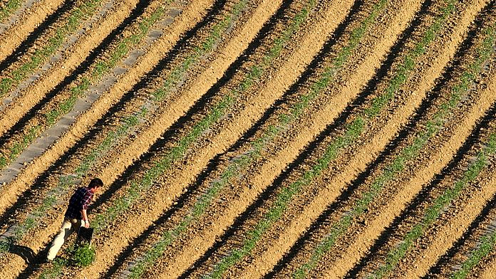 Scandalul fondurilor agricole grecești va afecta descărcarea de gestiune a bugetului Comisiei în Parlament, spune eurodeputatul principal