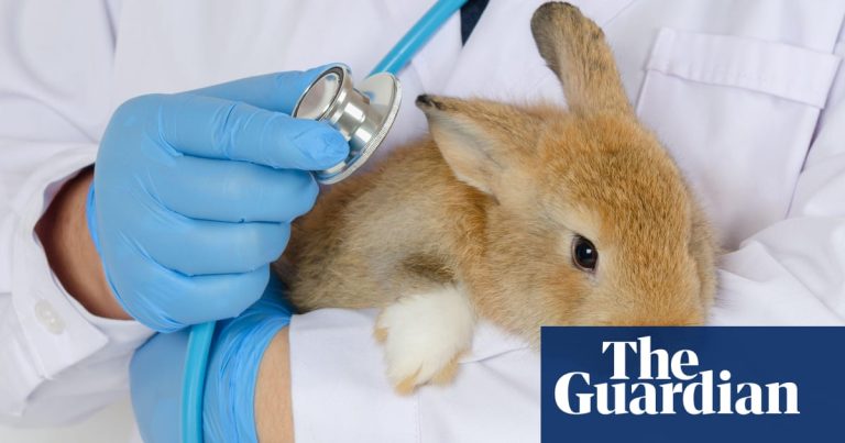 Imagine despre lansa program permite - Top10stiri.ro