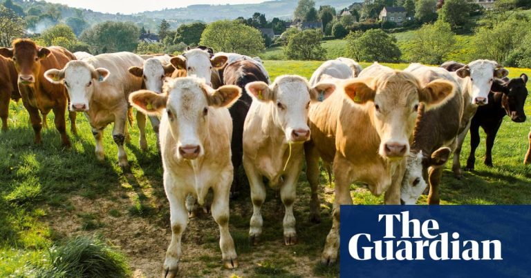 Imagine despre valurile căldură extreme - Top10stiri.ro