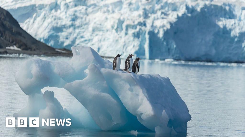 Foto reprezentând pilot adolescent american - Știri România