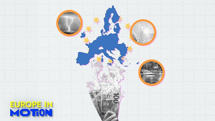 câte pierderi economice - Imagine ilustrativă