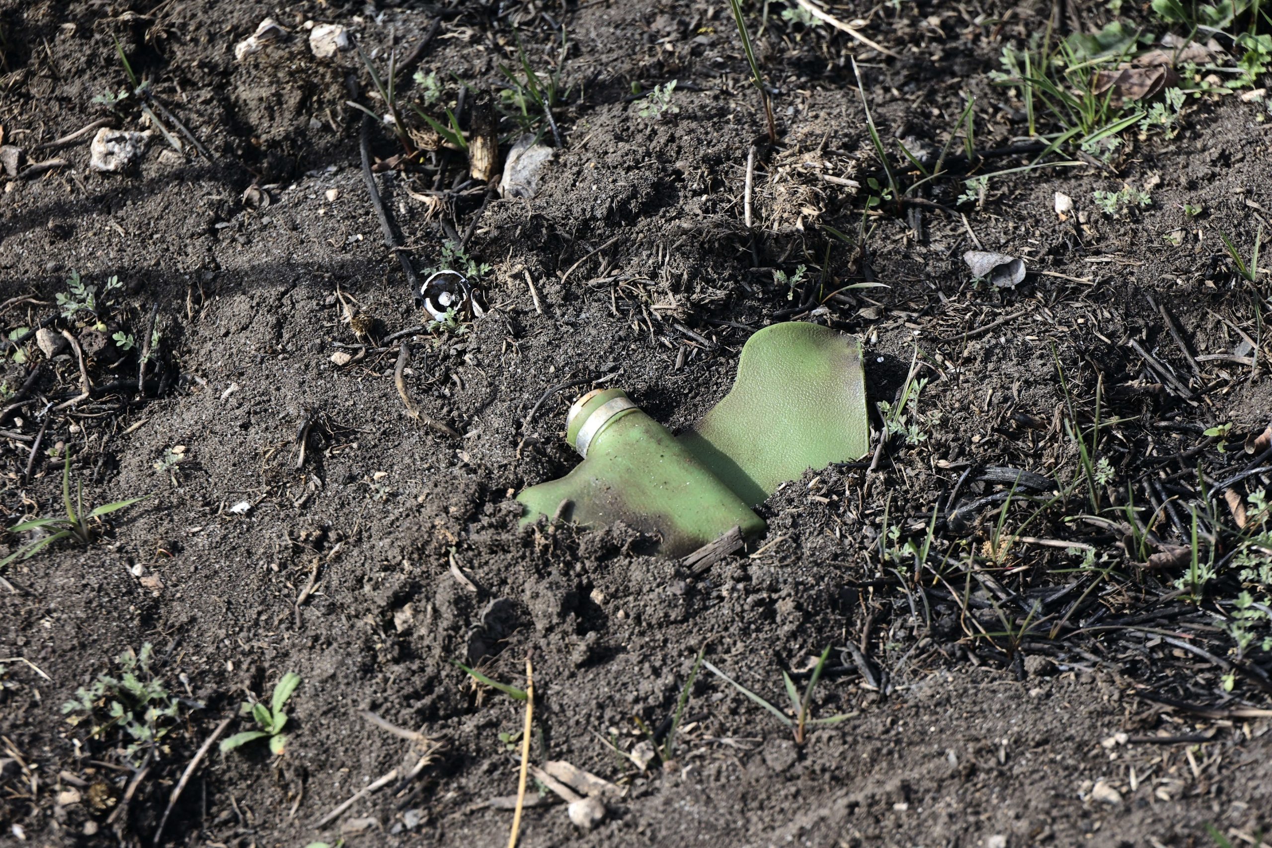 finlanda iese oficial - Imagine ilustrativă