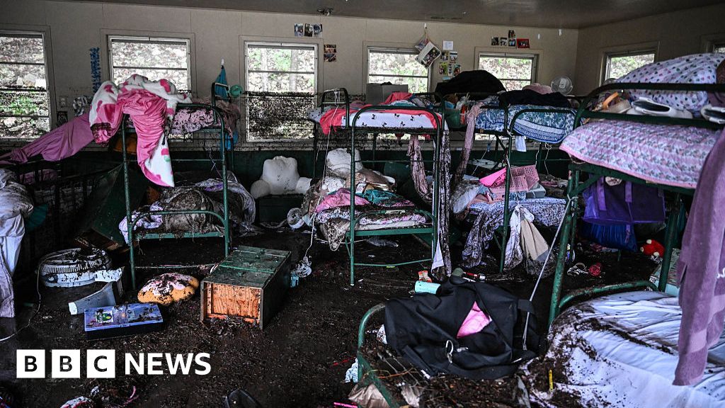 căutarea persoanelor dispărute - Imagine ilustrativă