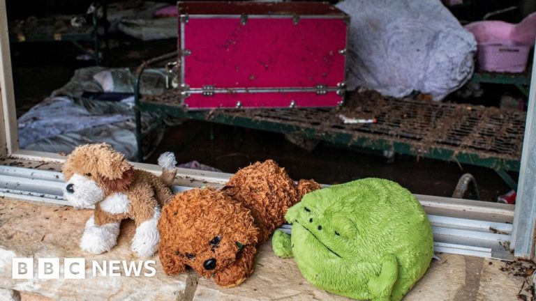 Foto reprezentând tabără vară fete - Știri România