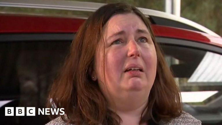 crimele ciuperci minciuna - Imagine ilustrativă