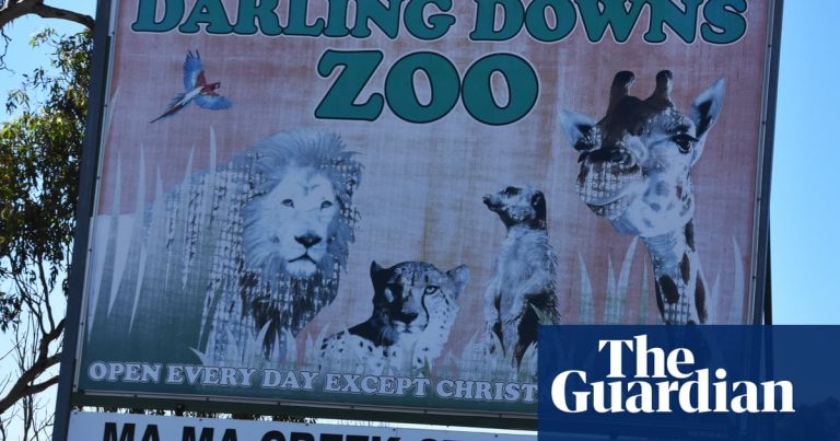 Foto reprezentând grădina zoologică queensland - Știri România