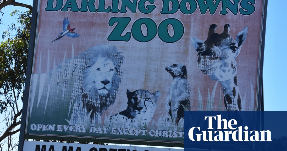 Grădina zoologică din Queensland se redeschide după ce cumnata proprietarului și-a pierdut brațul în urma atacului unui leu