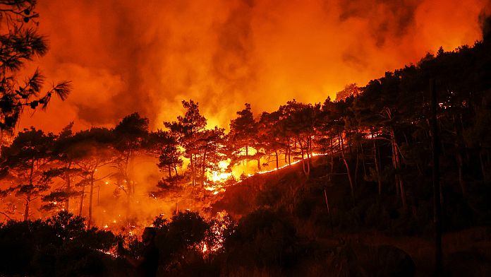 Problemele din Siria apelează la UE pentru ajutor în lupta împotriva incendiilor masive de vegetație de pe coasta de nord-vest