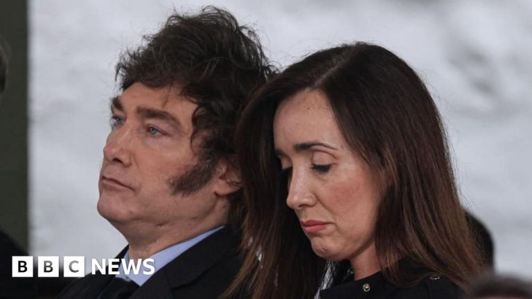 Vizual pentru vicepreședintele argentinei spus pe Top10stiri.ro