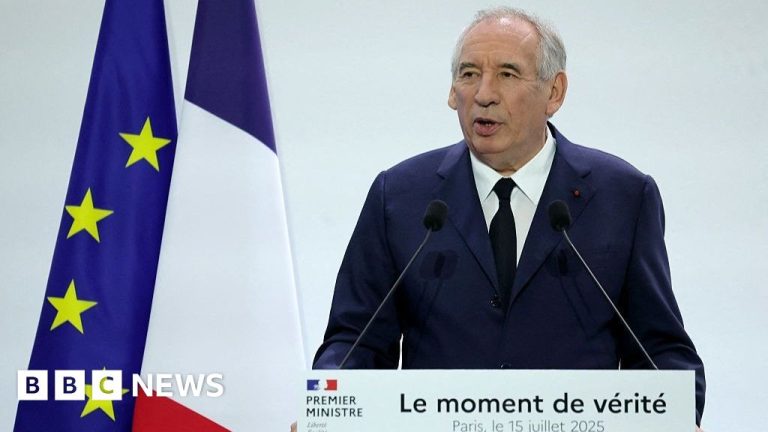 Vizual pentru premierul francez vrea pe Top10stiri.ro