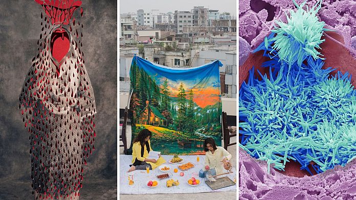 Premiul Wellcome pentru Fotografie 2025: Când fotografia întâlnește știința, sănătatea și experiența umană