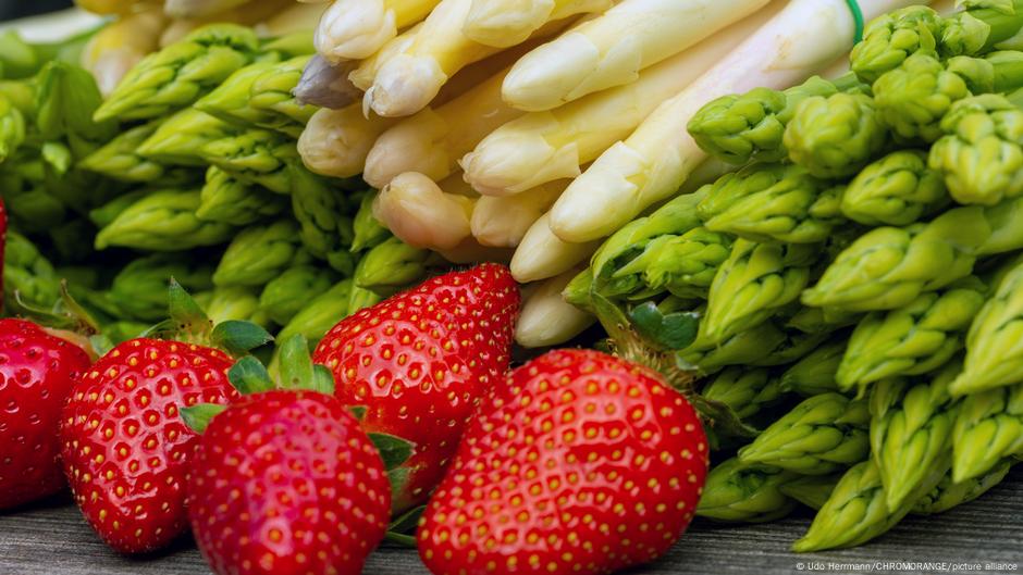 Fermierii germani renunță la sparanghel și căpșuni