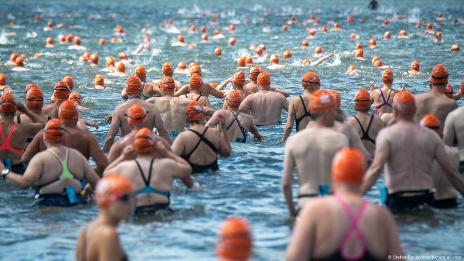 Bacteriile Vibrio: Cum să înoți în apele europene și să supraviețuiești