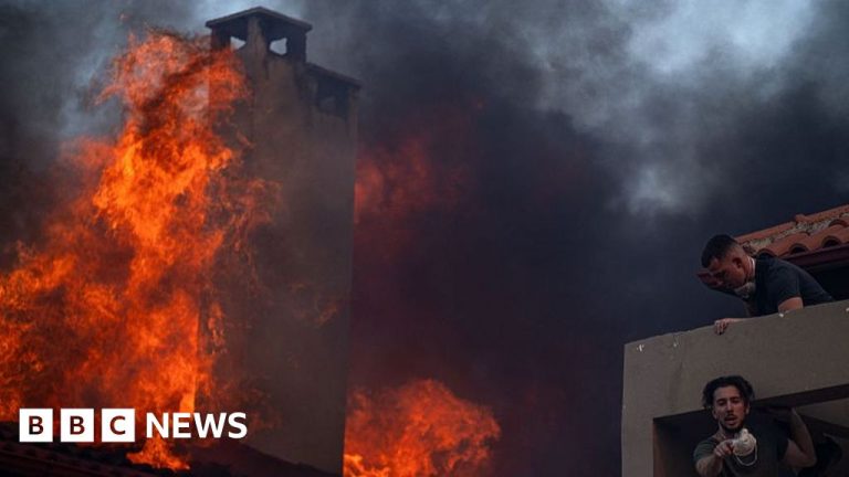 incendiile vegetație ravagii - Imagine ilustrativă