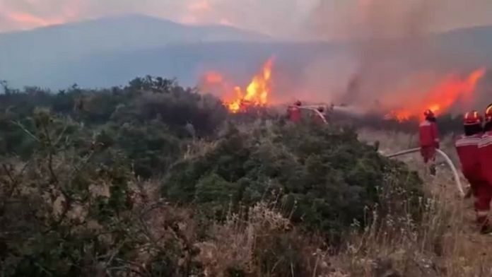Albania și Bulgaria solicită ajutorul UE pentru a face față incendiilor de vegetație devastatoare