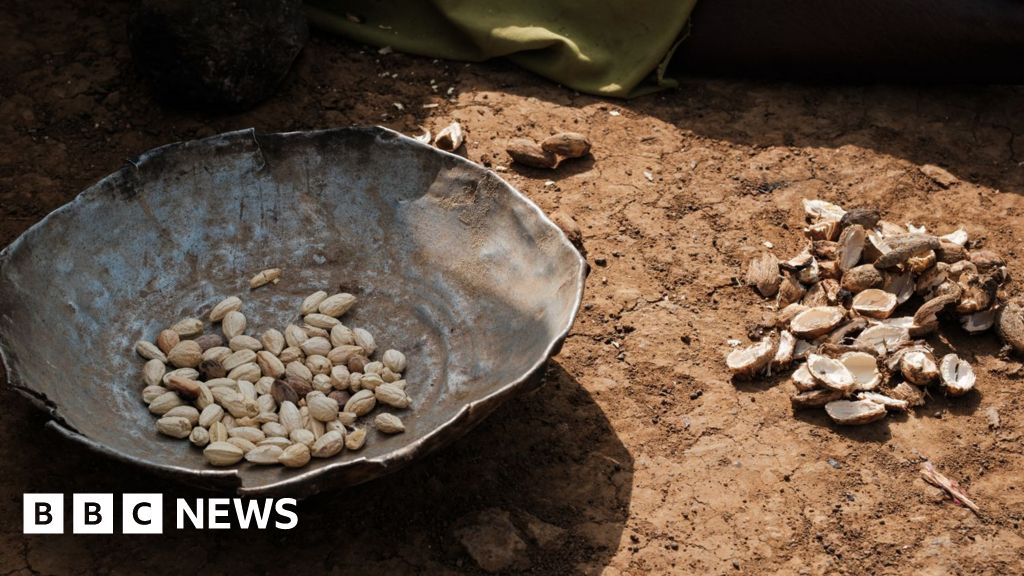 Peste o duzină de copii mor din cauza lipsei de alimente într-o tabără din Sudan – medici