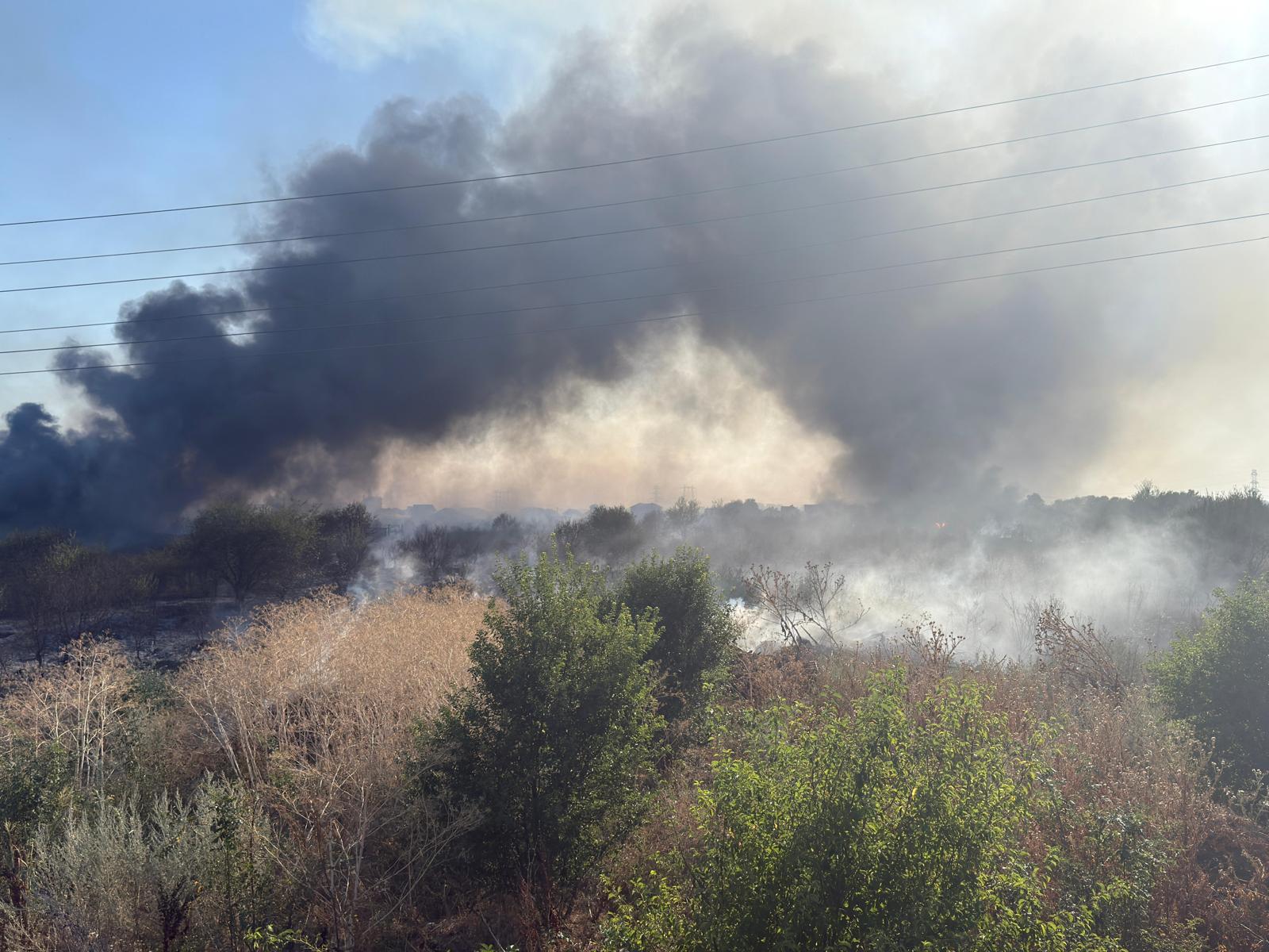 Vizual pentru incendiu vegetație într pe Top10stiri.ro