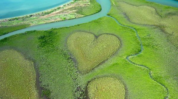 inima minune naturii - Imagine ilustrativă