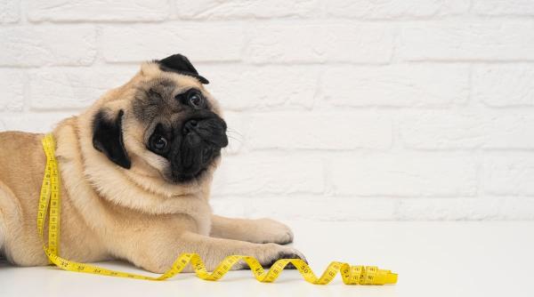 Imagine despre îți seama dacă - Top10stiri.ro