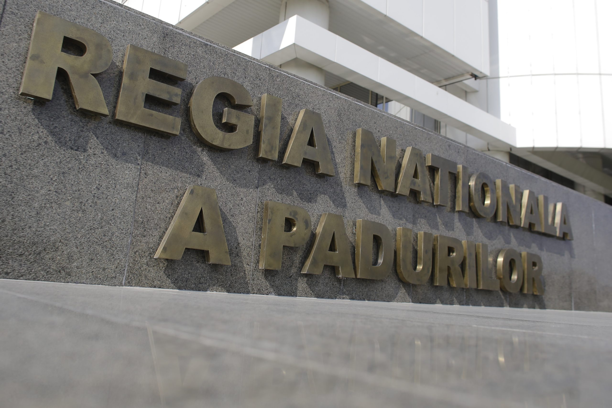 silvicultorii retragerea proiectului - Imagine ilustrativă