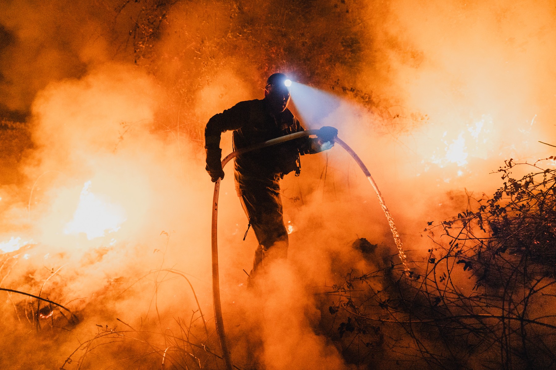 incendiile vegetație ravagii - Imagine ilustrativă