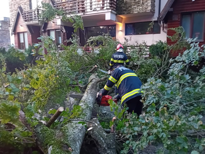 Foto reprezentând două femei rănite - Știri România