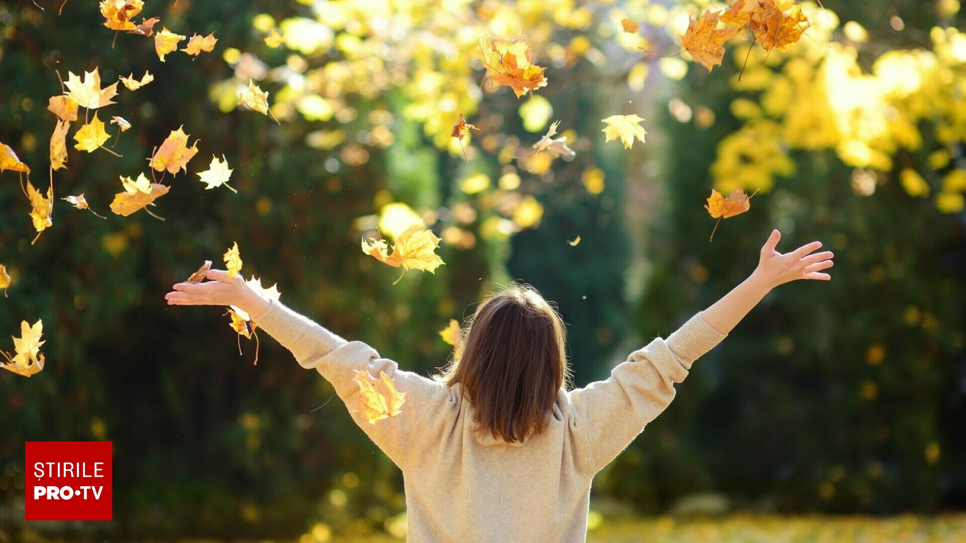 Imagine despre anunțat prognoza următoarele - Top10stiri.ro