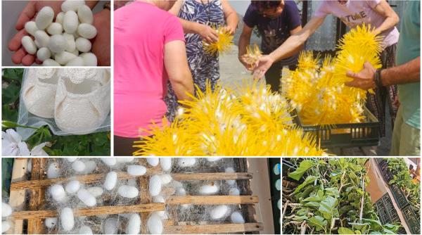 comuna românia unde - Imagine ilustrativă