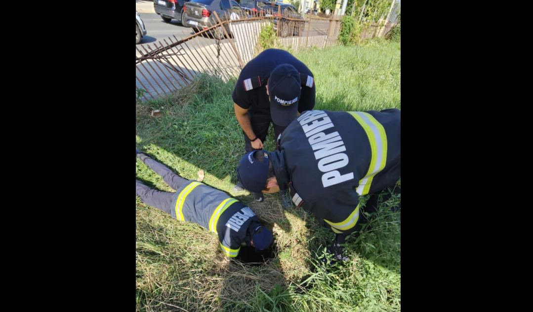 pompierii salvat câine - Imagine ilustrativă