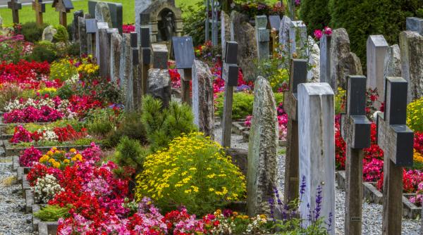 Vizual pentru restaurant denumit viață pe Top10stiri.ro