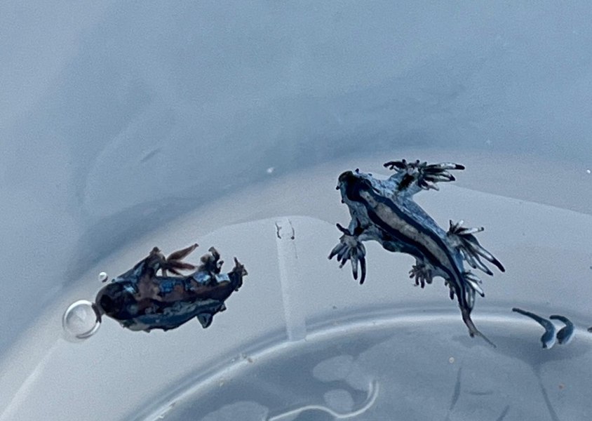 Imagine despre spania închide multe - Top10stiri.ro