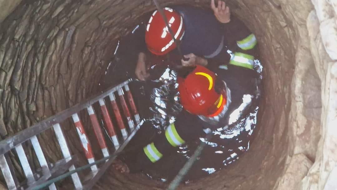 Imagine despre capră căzută într - Top10stiri.ro