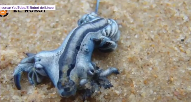 Imagine despre pericol turiști plin - Top10stiri.ro