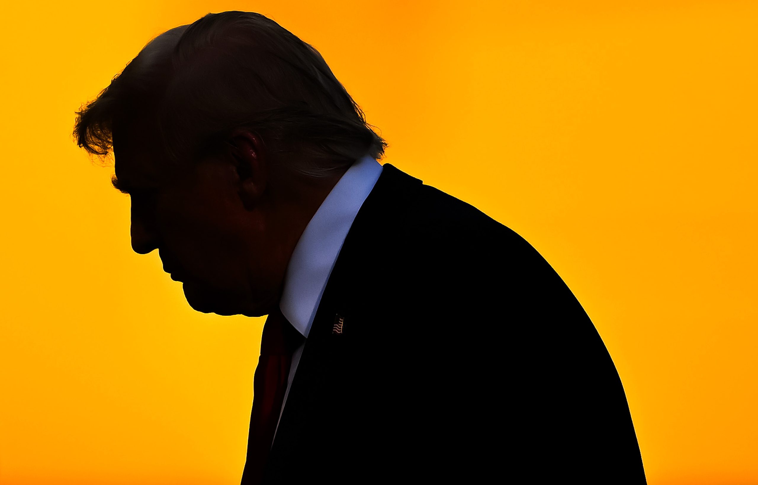 început donald trump - Imagine ilustrativă