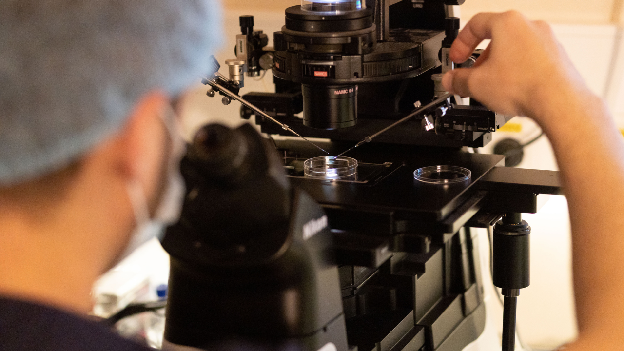 Foto reprezentând infertilitatea masculină realitate - Știri România