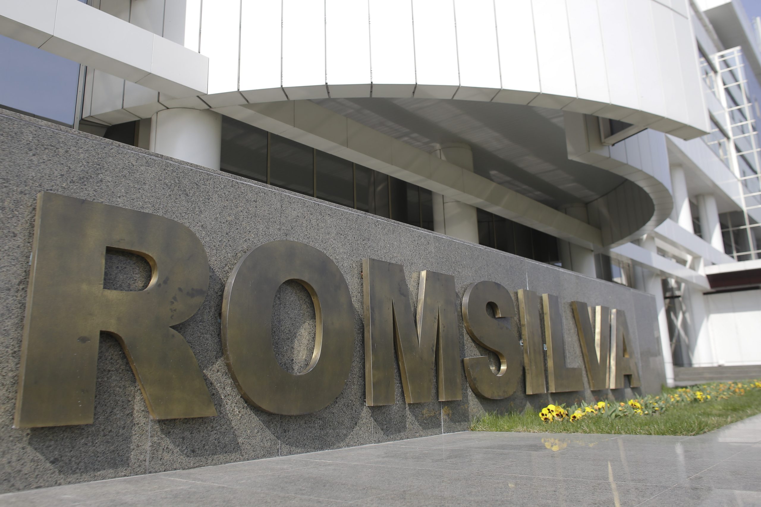 Foto reprezentând diana buzoianu propus - Știri România