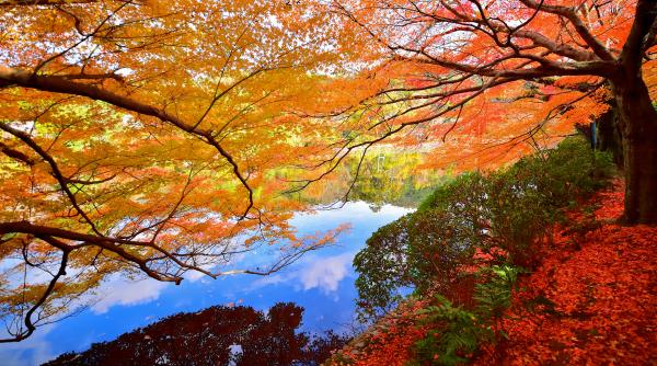 Vizual pentru echinocțiul toamnă 2025 pe Top10stiri.ro