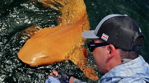 Foto reprezentând creatură bizară uluit - Știri România