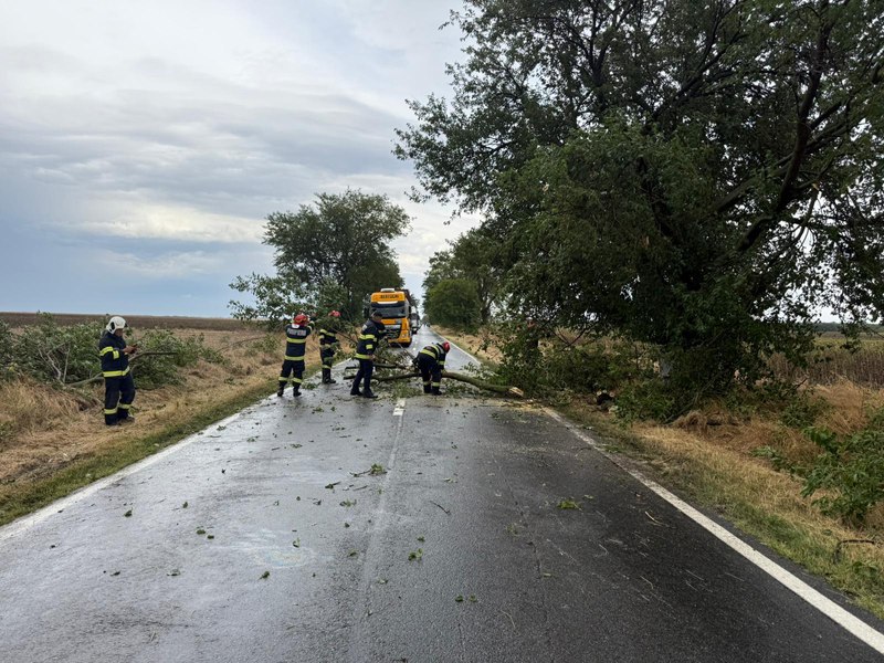 copaci căzuți drumuri - Imagine ilustrativă